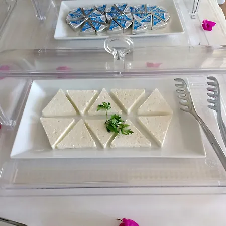 アパートホテル In Forest ギョジェク