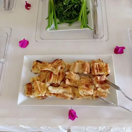 In Forest 3* ギョジェク