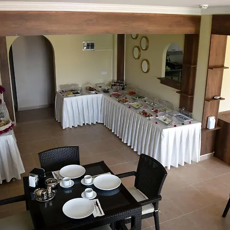 In Forest ギョジェク