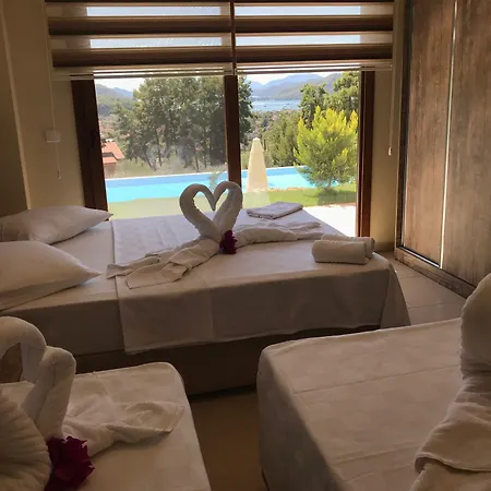 Apartahotel In Forest