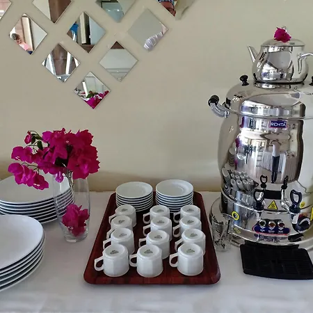 Apartahotel In Forest